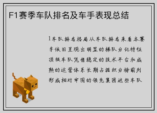 F1赛季车队排名及车手表现总结